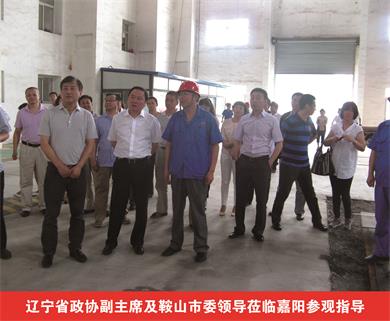 遼寧省政協(xié)副主席及鞍山市委領(lǐng)導蒞臨嘉陽參觀指導